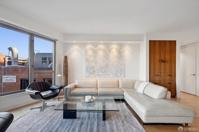 living room with wood-type flooring