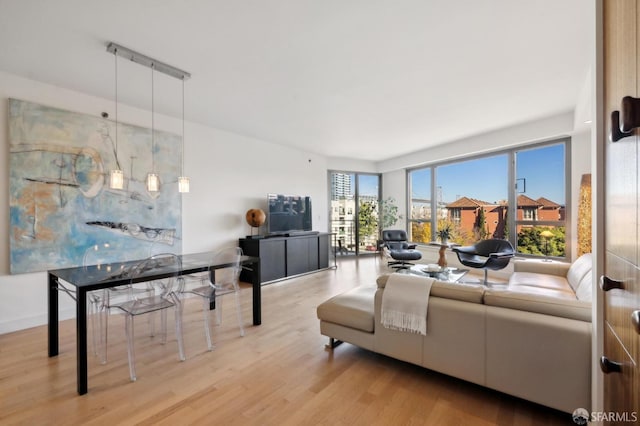 living room with light hardwood / wood-style floors