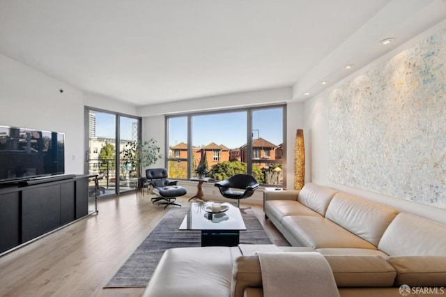 living room featuring light hardwood / wood-style flooring