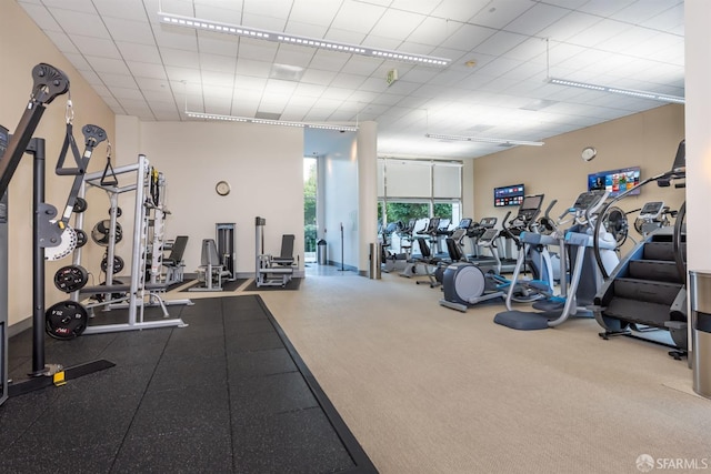 workout area featuring carpet flooring, a drop ceiling, and floor to ceiling windows