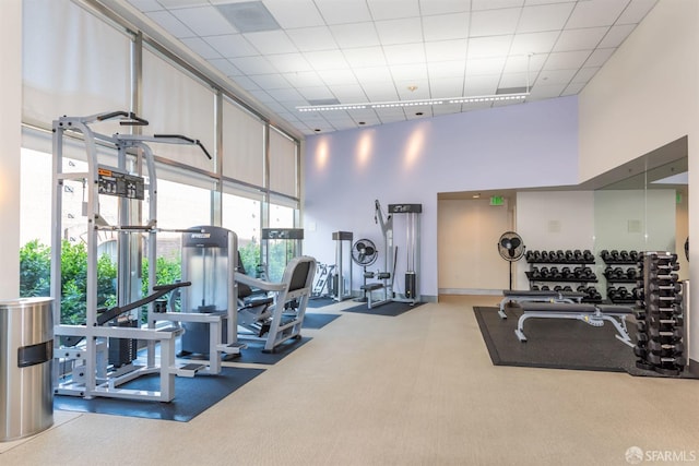 workout area featuring carpet, a wall of windows, and a high ceiling