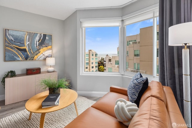 living room featuring hardwood / wood-style flooring