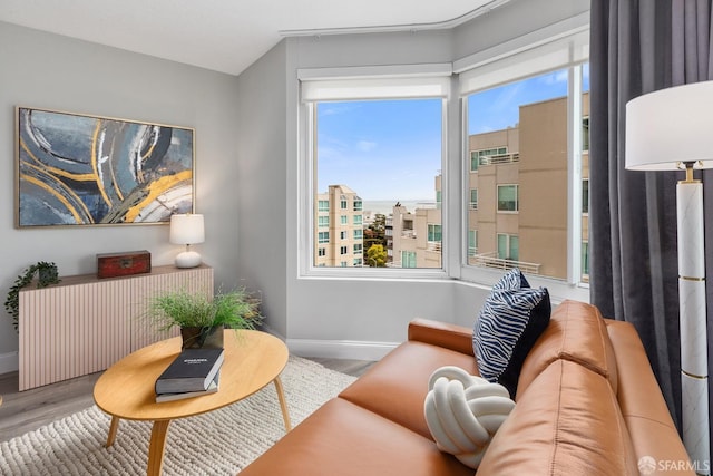 living area with wood finished floors, a wealth of natural light, and baseboards
