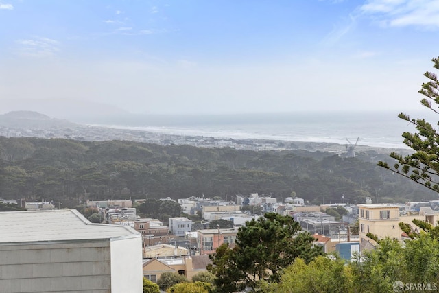 property view of mountains with a water view