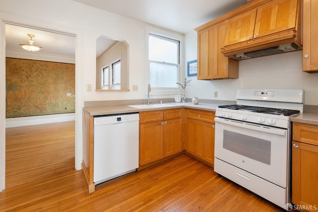 kitchen with custom exhaust hood, light countertops, light wood-style floors, a sink, and white appliances