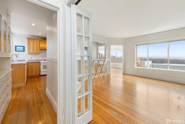 interior space with recessed lighting, a sink, and light wood-style flooring