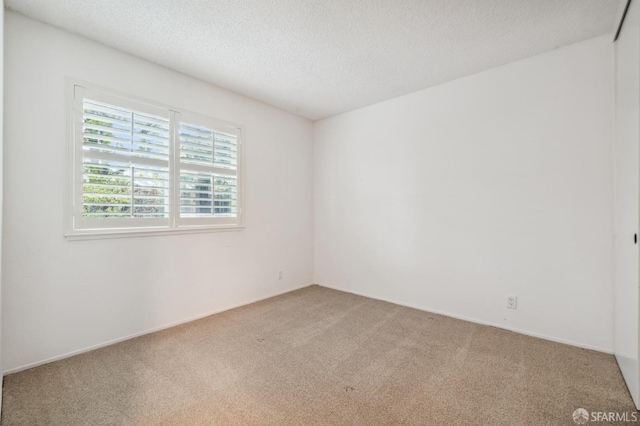 empty room featuring light carpet and a textured ceiling