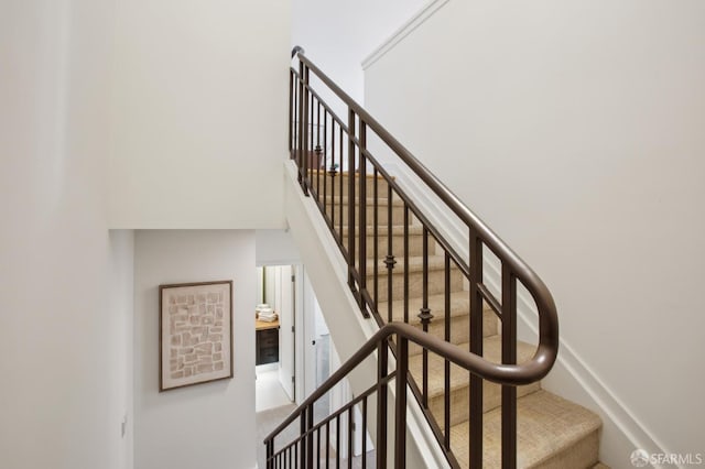 stairway featuring carpet flooring