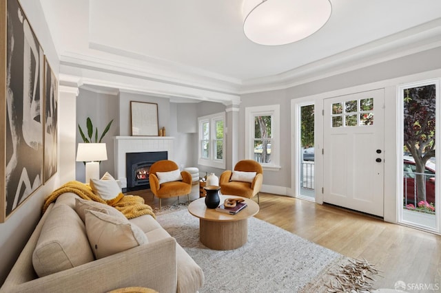 4145 Emerald St, Oakland, CA 94609 - living room with a raised ceiling, wood finished floors, and a fireplace with flush hearth