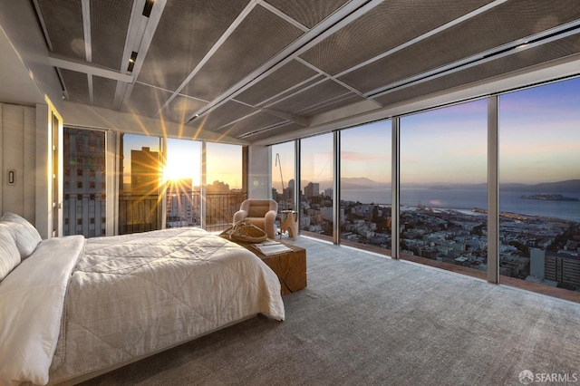 carpeted bedroom with a wall of windows