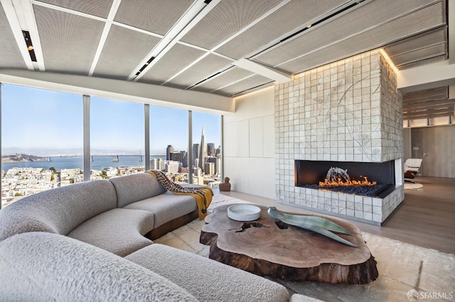 living room featuring a tile fireplace, hardwood / wood-style floors, and a water view