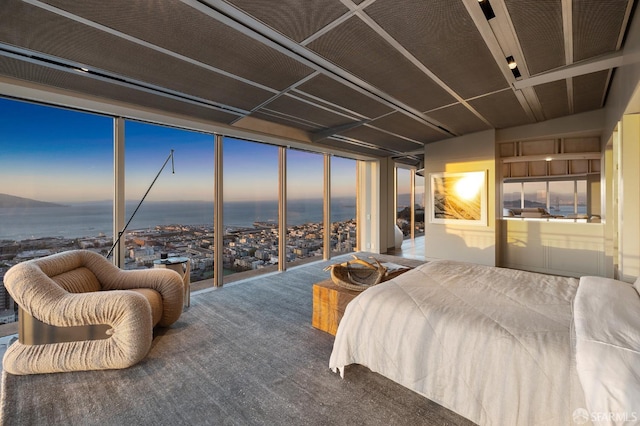 bedroom featuring carpet flooring