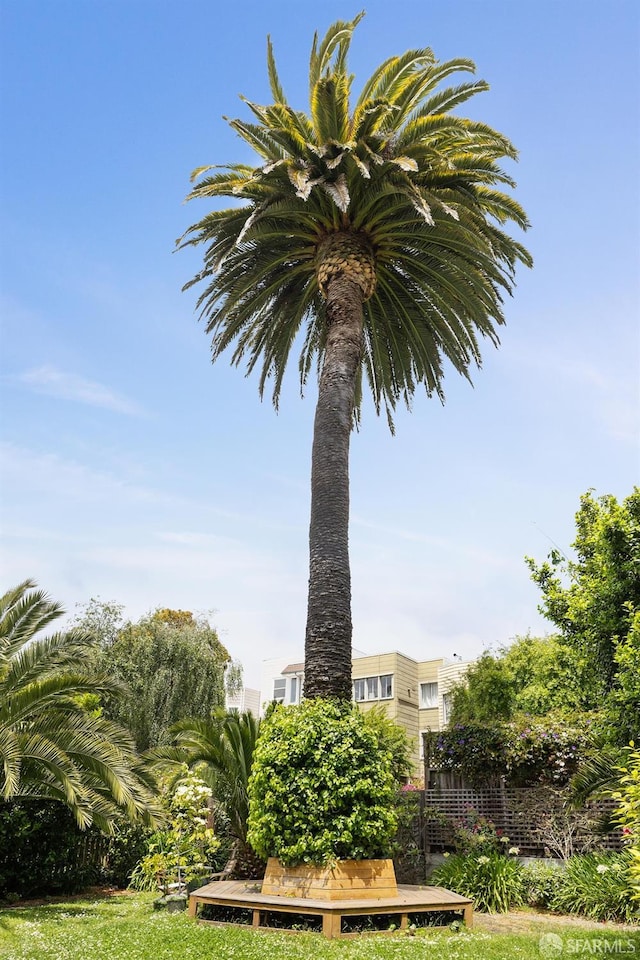 1932 Fell St Unit 1, San Francisco, CA 94117 - view of yard