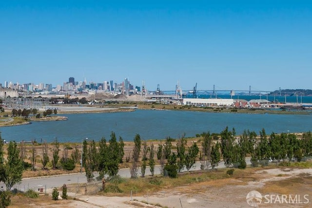 451 Donahue St Unit 207, San Francisco, CA 94124 - water view featuring a skyline view