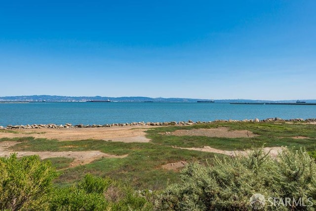 451 Donahue St Unit 207, San Francisco, CA 94124 - water view