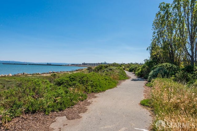 451 Donahue St Unit 207, San Francisco, CA 94124 - water view