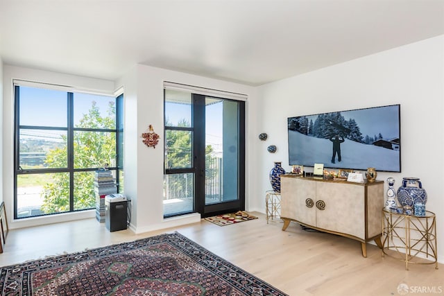 451 Donahue St Unit 207, San Francisco, CA 94124 - foyer entrance with wood finished floors and healthy amount of natural light