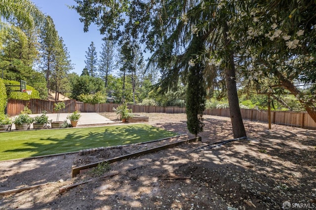 107 Verde Mesa Dr, Danville, CA 94526 - photo 26