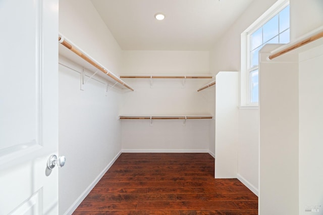 spacious closet with dark wood finished floors