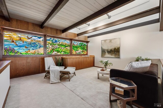 272 Ocean Pkwy, Bolinas, CA 94924 - photo 34