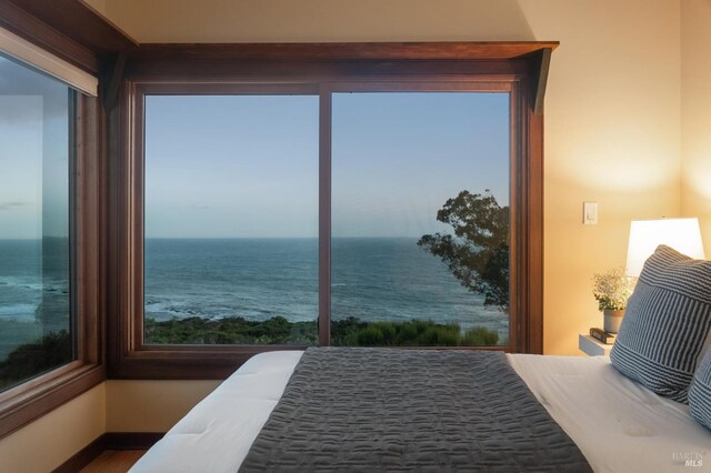 272 Ocean Pkwy, Bolinas, CA 94924 - bedroom with a water view and wood finished floors