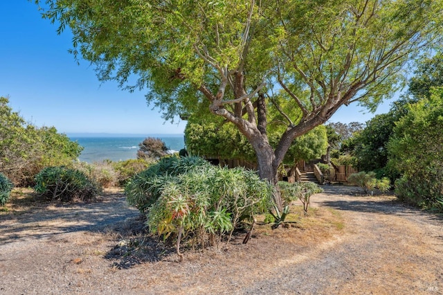 272 Ocean Pkwy, Bolinas, CA 94924 - view of yard with a water view