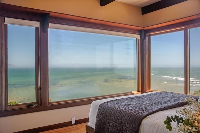 272 Ocean Pkwy, Bolinas, CA 94924 - bedroom featuring a water view, multiple windows, and wood finished floors