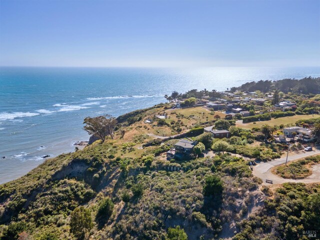 272 Ocean Pkwy, Bolinas, CA 94924 - aerial view of a large body of water