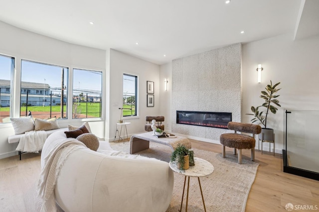 living room with a fireplace and light hardwood / wood-style flooring