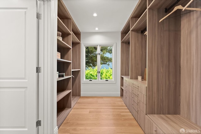 spacious closet with light hardwood / wood-style floors