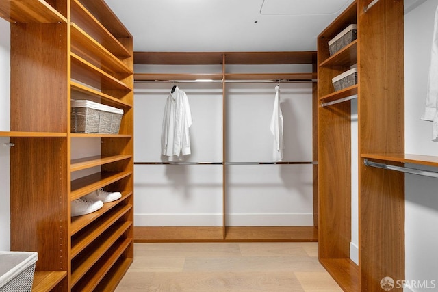 walk in closet with light wood-type flooring