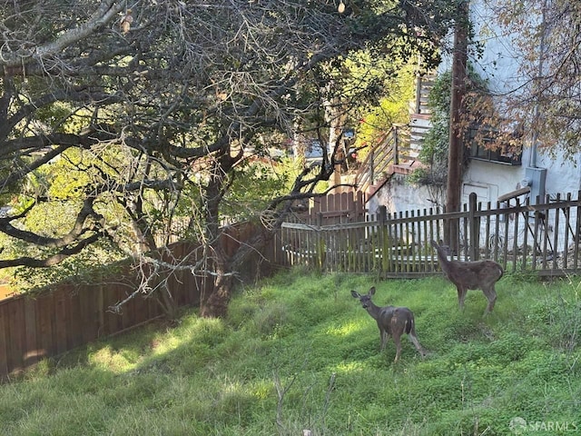 view of yard