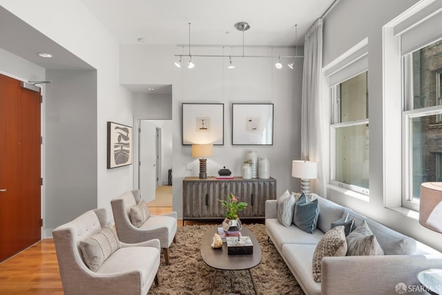 living room with light hardwood / wood-style floors and rail lighting