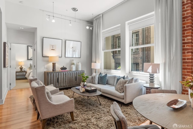 living room featuring rail lighting and light hardwood / wood-style floors