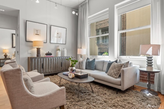 living room featuring light wood-type flooring