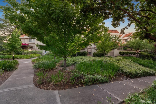 539 Pimlico Ct, Walnut Creek, CA 94597 - view of home's community