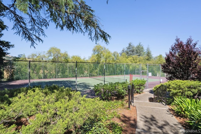 539 Pimlico Ct, Walnut Creek, CA 94597 - view of tennis court