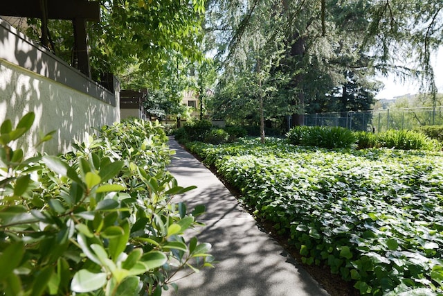 539 Pimlico Ct, Walnut Creek, CA 94597 - view of surrounding community