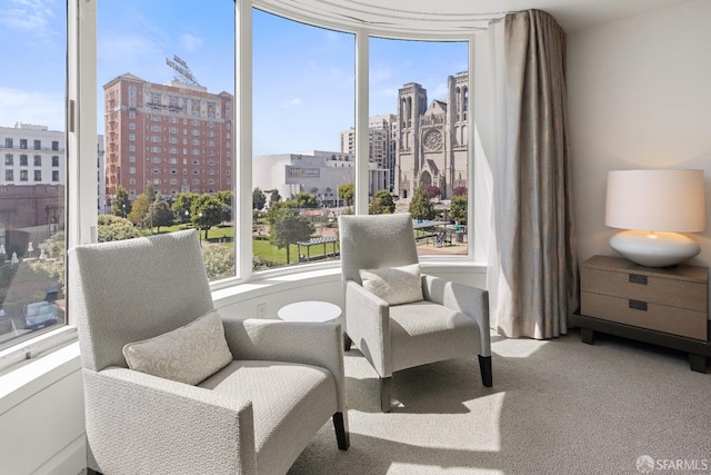 living area featuring carpet flooring