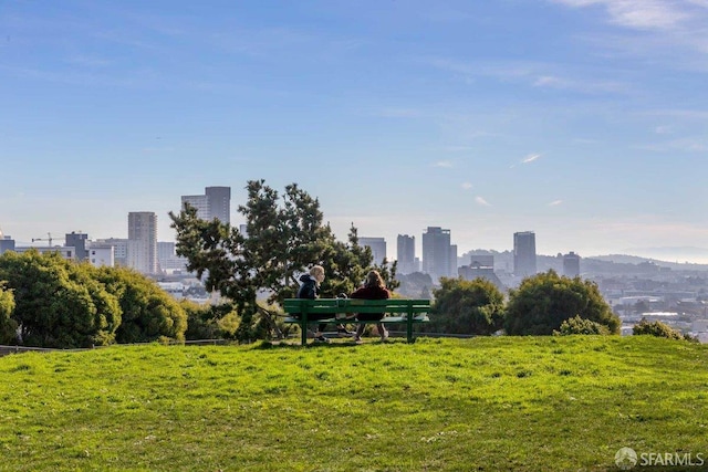 2864 Sacramento St, San Francisco, CA 94115 - view of home's community with a skyline view