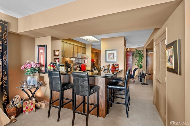 interior space featuring light carpet, bar, and under cabinet range hood