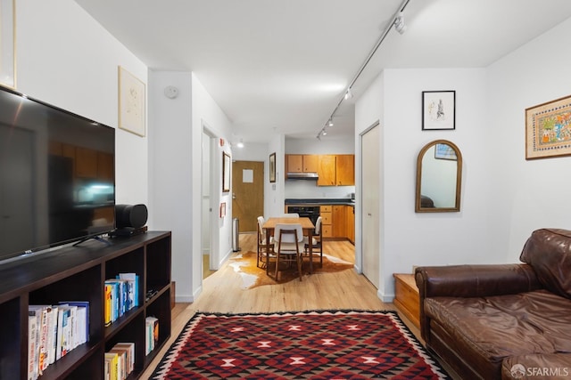 living room featuring light hardwood / wood-style floors and track lighting