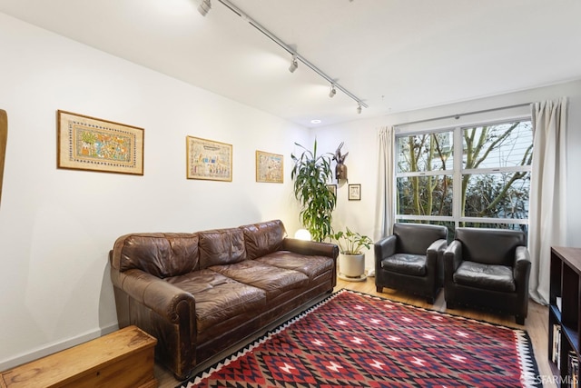 living room with hardwood / wood-style floors and track lighting