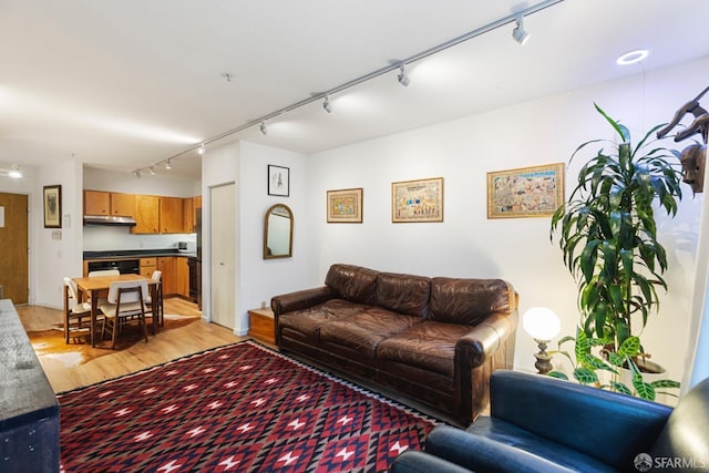 living room with light wood-type flooring and rail lighting