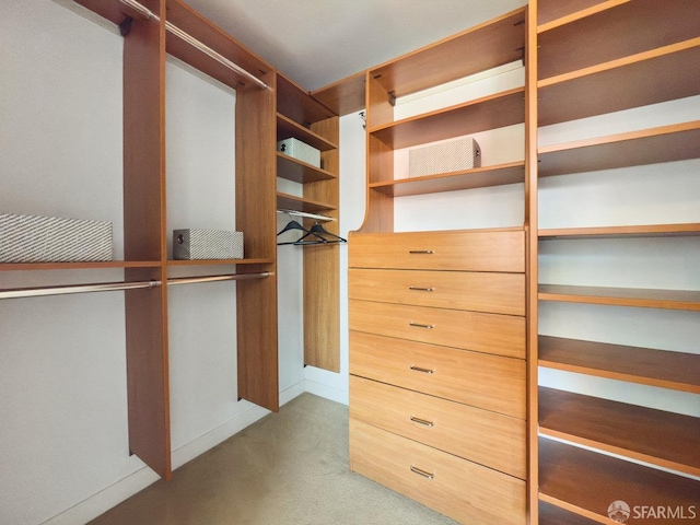 250 King St Unit 528, San Francisco, CA 94107 - spacious closet featuring carpet flooring