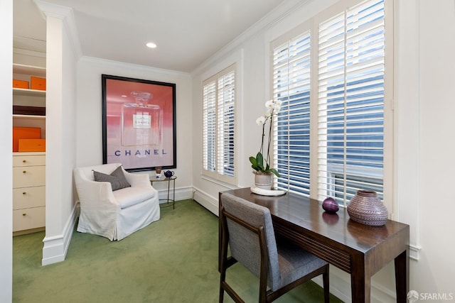 office space featuring crown molding and carpet flooring