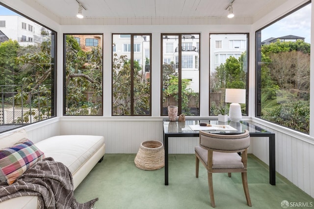 sunroom with track lighting