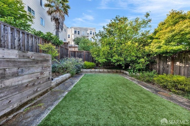 3014 Pine St Unit A, San Francisco, CA 94115 - view of yard