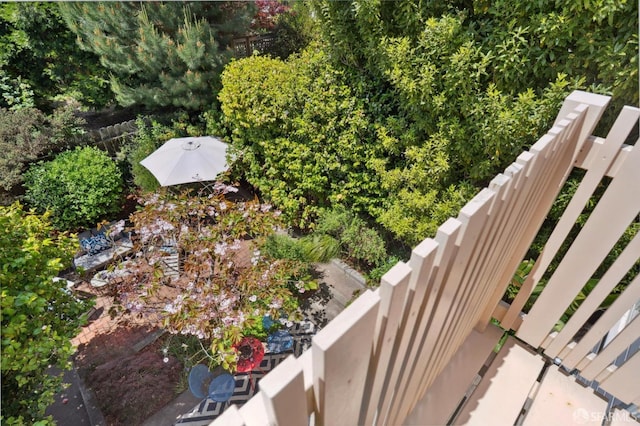 bird's eye view