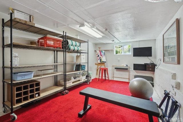 exercise area with carpet floors